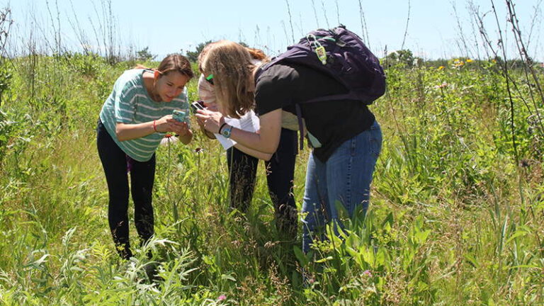 Three students huddled close together taking close-up photos of plants