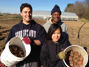 3 diverse students doing field work