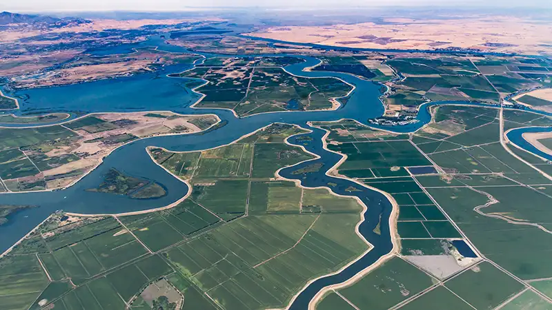 Aerial view of a river delta surrounded by green spaces.