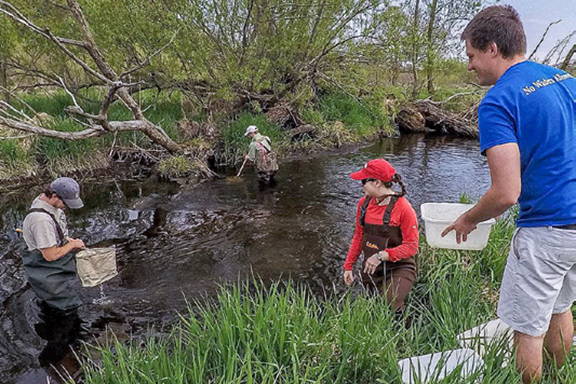 A group of students taking water samples from a stream